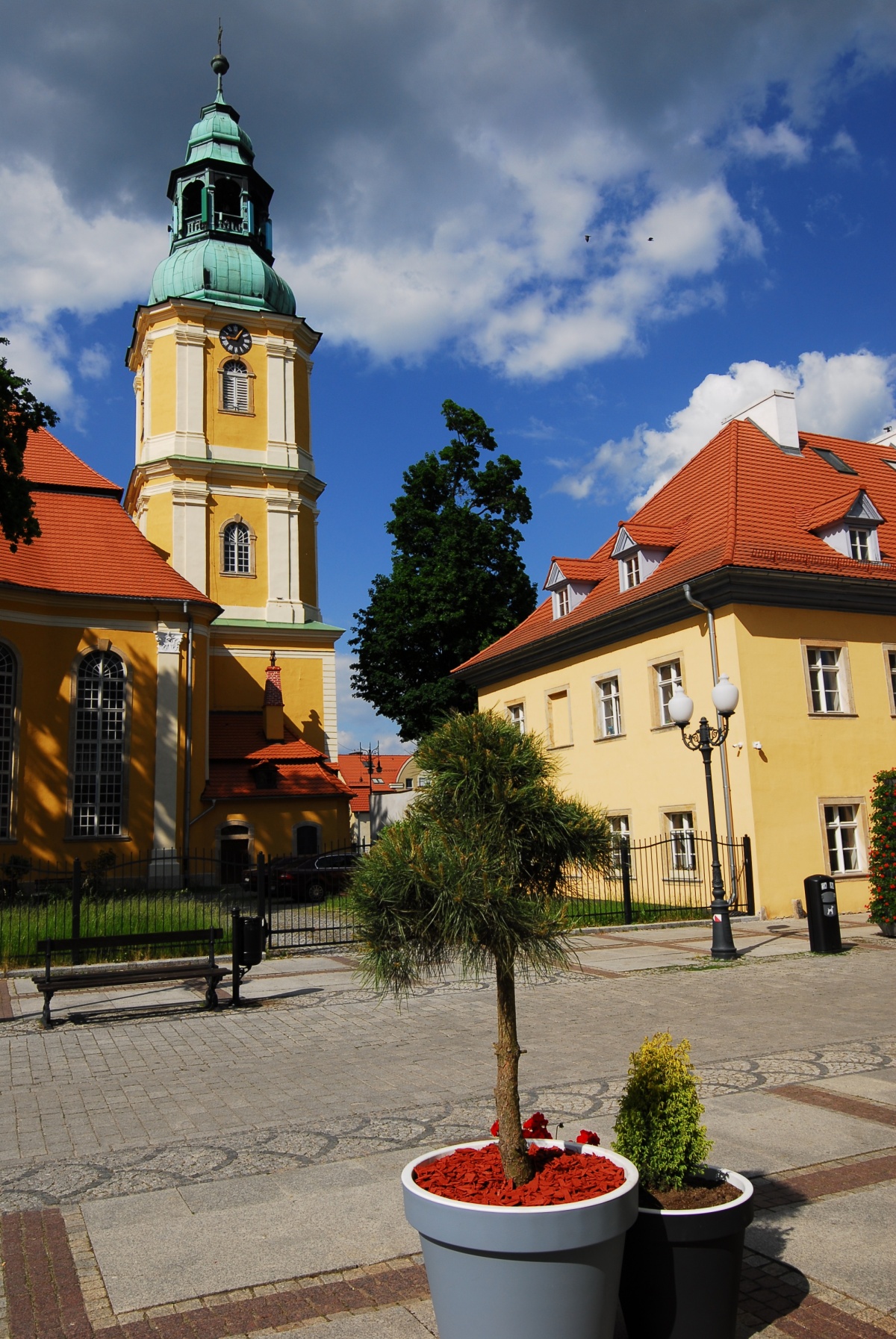 Upiększamy  miasto atrakcyjnymi kompozycjami z  ozdobnych iglaków i  pelargonii